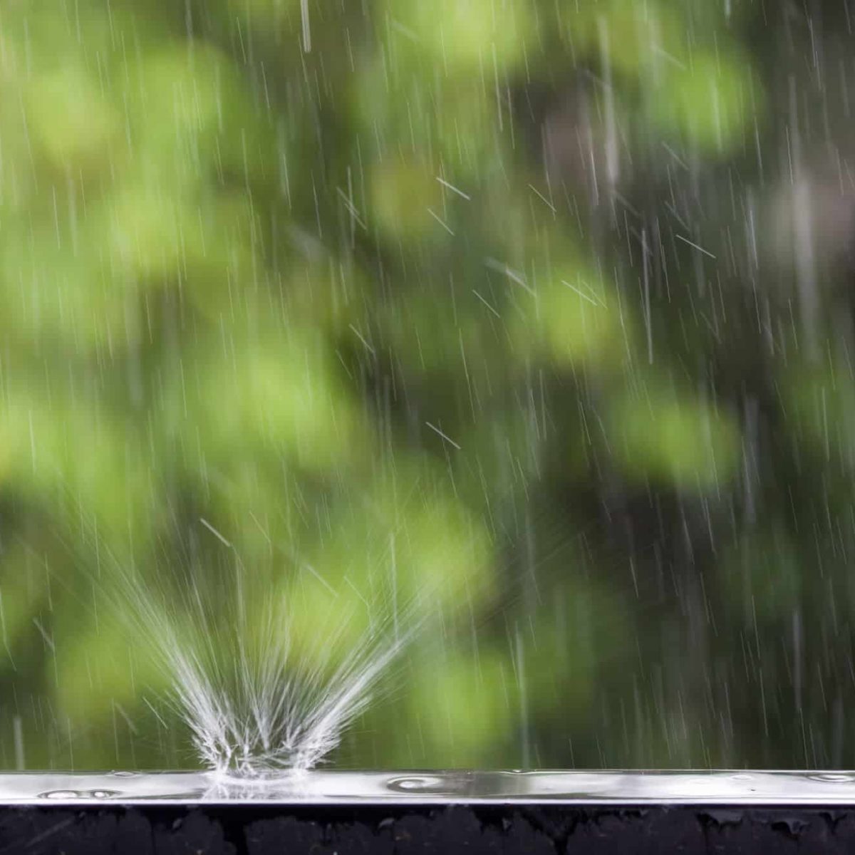 Regenwassernutzung Hamburg